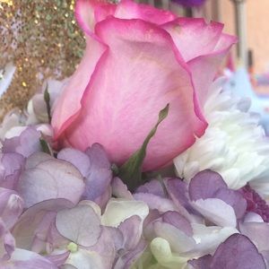 Meet your Posher, Gladys